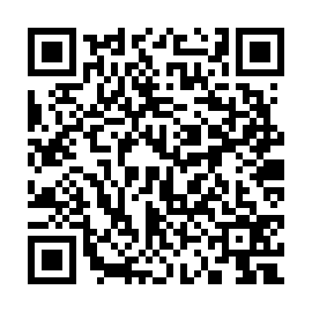 QR code for 33BV369