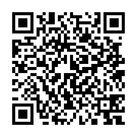 QR code for 33C038Y