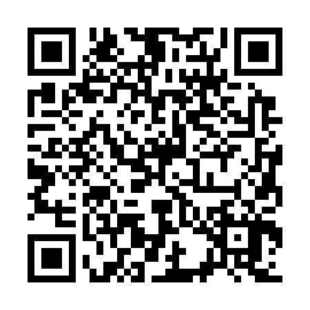 QR code for 33C307L
