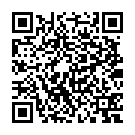 QR code for 33CT319