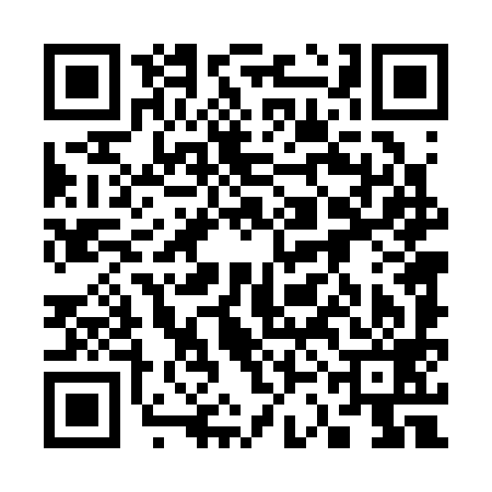 QR code for 33D399F