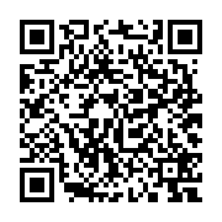 QR code for 33DF291