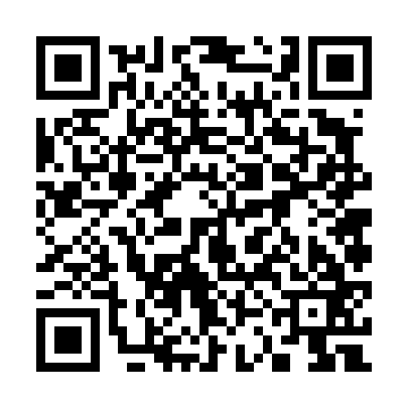 QR code for 33F463C