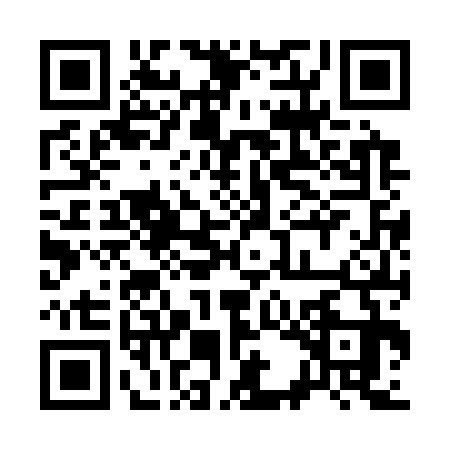 QR code for 33FC339