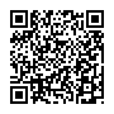 QR code for 33FLD95