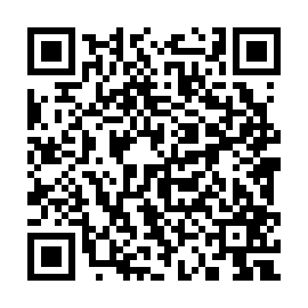 QR code for 33L307K