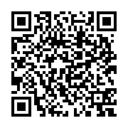 QR code for 33MF307