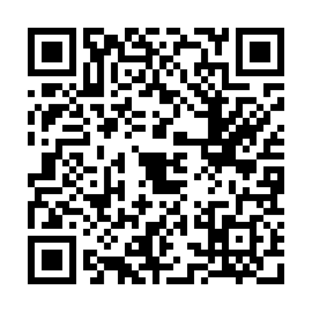 QR code for 33MM383