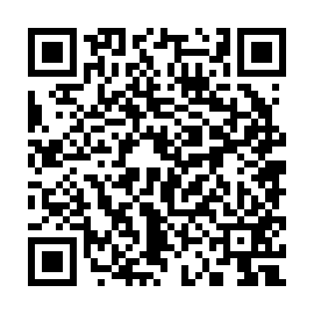 QR code for 33N253Z