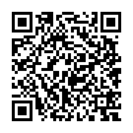 QR code for 33N4287