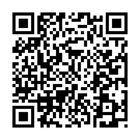 QR code for 33N6313