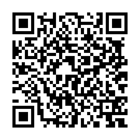 QR code for 33NL336