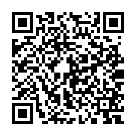 QR code for 33NS418