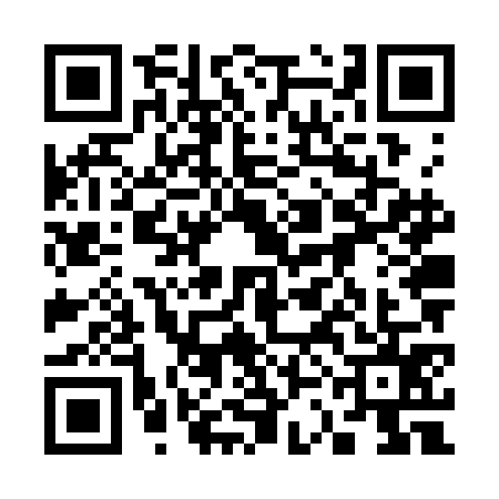 QR code for 33NSG51
