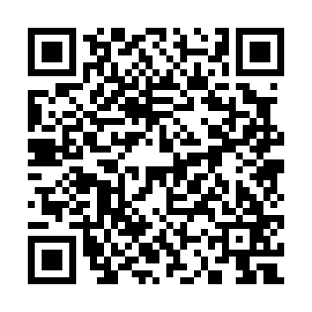 QR code for 33P063C