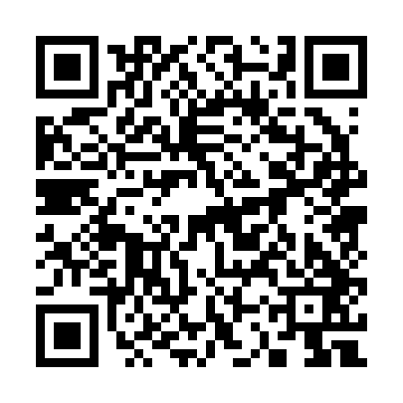 QR code for 33P243B