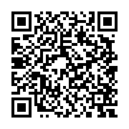 QR code for 33P4463