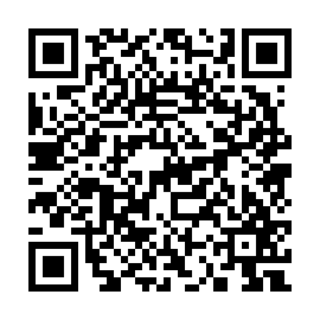 QR code for 33P667F