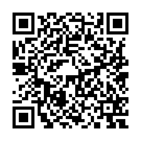 QR code for 33P925A
