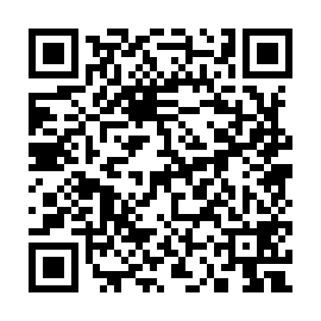 QR code for 33P958Z