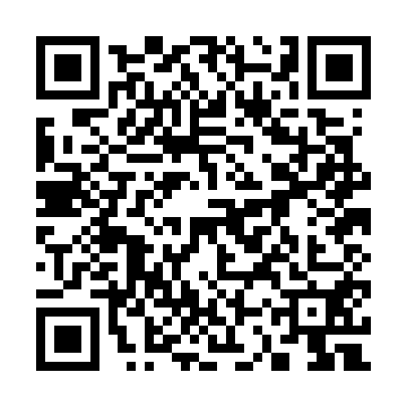 QR code for 33PG509