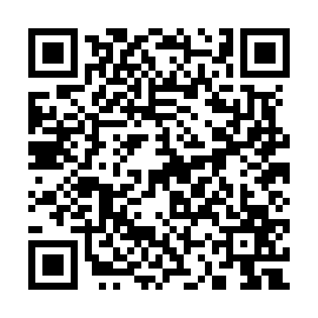 QR code for 33PN675