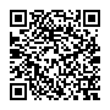 QR code for 33PS541
