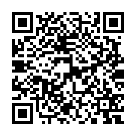 QR code for 33RT371