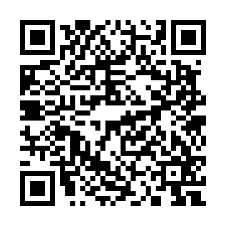 QR code for 33S466M