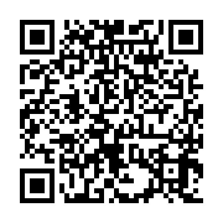 QR code for 33VA991