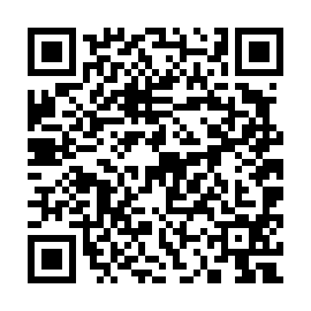 QR code for 33VD943