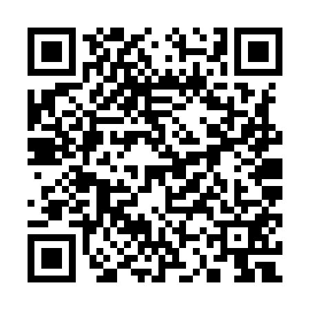 QR code for 33VY511