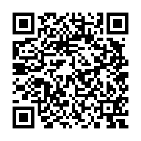 QR code for 33W411K
