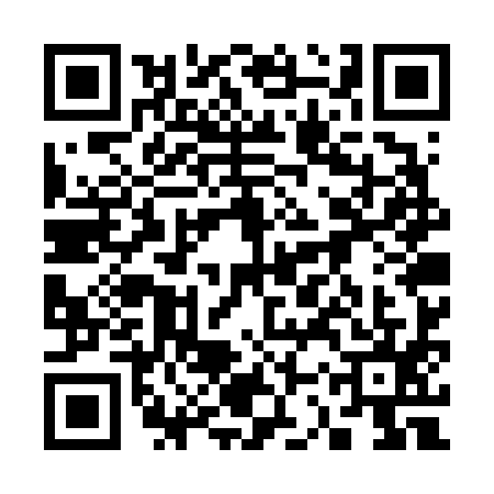 QR code for 33WV958