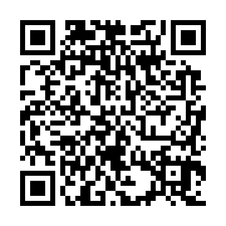 QR code for 33Z3859