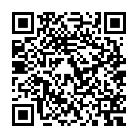 QR code for 33Z6161