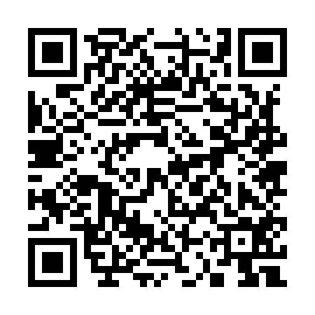 QR code for 33Z954F