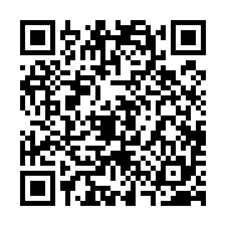 QR code for 36P595P