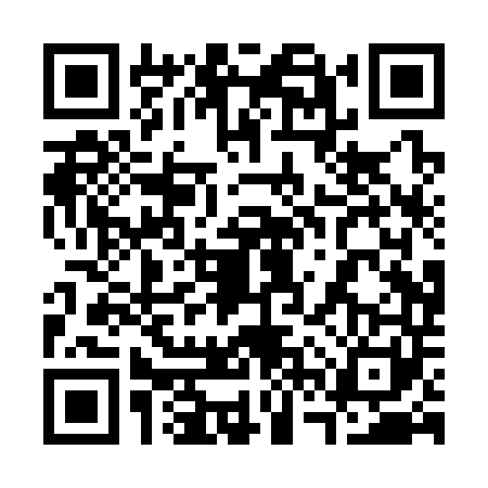 QR code for 36PS413