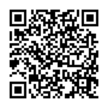 QR code for 3C63868