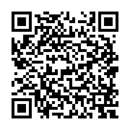 QR code for 3G96838