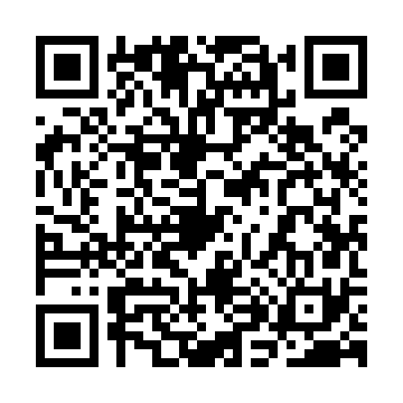 QR code for 3H9571P