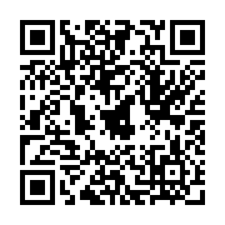 QR code for 3N1317Z