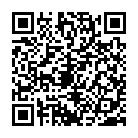 QR code for 3N13999