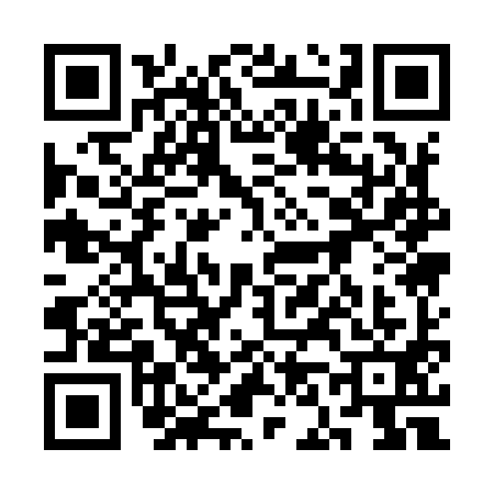QR code for 3N19916