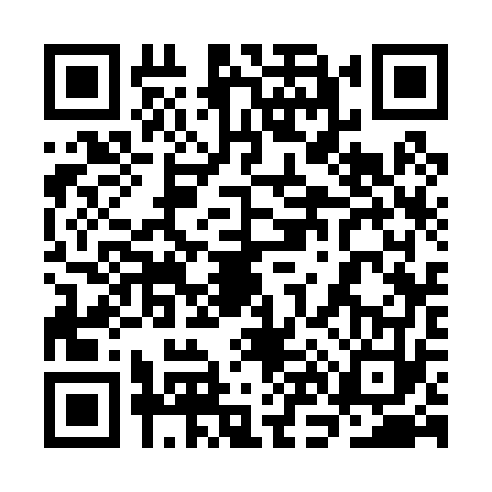 QR code for 3N30738