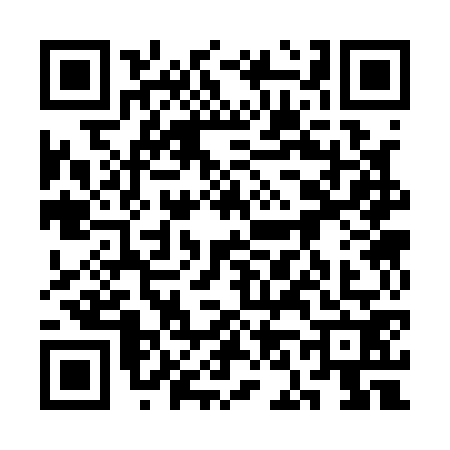 QR code for 3N31729
