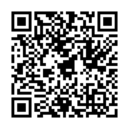 QR code for 3N3313B