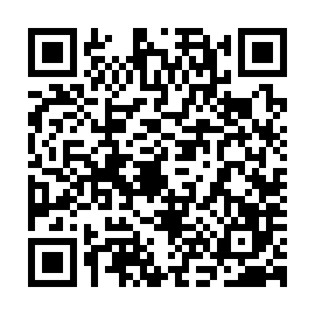 QR code for 3N63867
