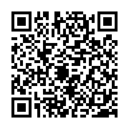 QR code for 3N95318